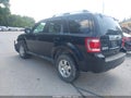 Photo 3 of 11 — 2010 Ford Escape