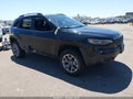 2021 Jeep Cherokee — photo 1 of 17 | VIN 1C4PJMBXXMD142576