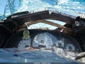 2004 Chevrolet Suburban 1500 — photo 7 of 17 | VIN 3GNFK16Z54G311805