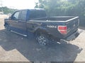 2011 Ford F-150 — photo 3 of 16 | VIN 1FTFX1ET9BFC54725