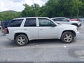 2008 Chevrolet Trailblazer — photo 13 of 18 | VIN 1GNDT13S382170243