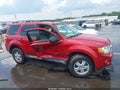 2011 Ford Escape — photo 13 of 16 | VIN 1FMCU0D79BKA92513
