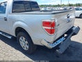 2013 Ford F-150 — photo 17 of 17 | VIN 1FTFW1CFXDKG40645