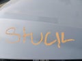 2009 Hyundai Accent — photo 10 of 12 | VIN KMHCN46C19U367367