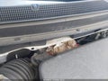 Photo 6 of 16 — 2023 Chevrolet Traverse
