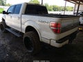 2013 Ford F-150 — photo 3 of 15 | VIN 1FTFW1EF0DFA07870