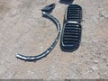 2026 BMW X5 — photo 12 of 17 | VIN 5UX23EU08T9395017