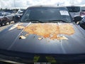 Photo 6 of 14 — 2009 Chevrolet Silverado 1500