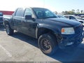 Photo 1 of 11 — 2005 Ford F-150