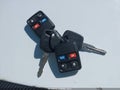 2001 Lincoln Town Car — photo 11 of 19 | VIN 1LNHM82W01Y706214