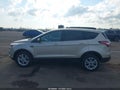 2017 Ford Escape — photo 14 of 17 | VIN 1FMCU9GD0HUE08965
