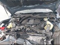 2024 Ford Mustang — photo 10 of 16 | VIN 1FA6P8CF2R5428582
