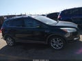 Photo 13 of 16 — 2015 Ford Escape