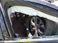 2019 Buick Enclave — photo 5 of 16 | VIN 5GAEVCKW8KJ222312