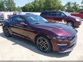 Photo 1 of 16 — 2018 Ford Mustang