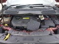 Photo 10 of 11 — 2014 Ford Escape