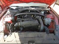 2025 Ford Mustang — photo 10 of 16 | VIN 1FAGP8UH1S5105652