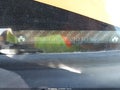 2007 Honda Odyssey — photo 9 of 17 | VIN 5FNRL38737B103524