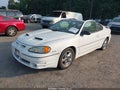 2003 Pontiac Grand Am — photo 2 of 16 | VIN 1G2NV12E43C245431