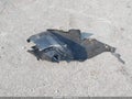 2023 Chevrolet Malibu — photo 11 of 16 | VIN 1G1ZD5ST3PF202766