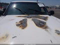 2006 Chevrolet Silverado 1500 — photo 6 of 11 | VIN 2GCEK13T961210024