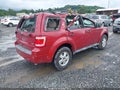 2010 Ford Escape — photo 4 of 16 | VIN 1FMCU9DG5AKC75815