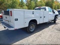 2022 Chevrolet Silverado — photo 4 of 18 | VIN 1GB3WRE72NF142882