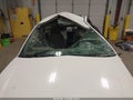 2006 Chevrolet Malibu — photo 6 of 13 | VIN 1G1ZT61846F190129