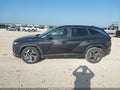 2024 Hyundai Tucson — photo 14 of 16 | VIN 5NMJF3DE1RH325635