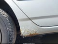 2004 Toyota Corolla — photo 12 of 17 | VIN 2T1BR32E34C244889