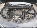 2019 Chevrolet Malibu Limited — photo 10 of 17 | VIN 1G1ZD5ST6KF153099