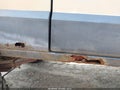 1994 Jeep Cherokee — photo 16 of 17 | VIN 1J4FJ67S6RL166689