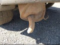 2013 Subaru Outback — photo 20 of 21 | VIN 4S4BRBSC4D3230660