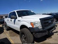 2014 Ford F-150 — photo 13 of 16 | VIN 1FTFW1EF1EKF81029