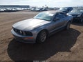 Photo 2 of 15 — 2007 Ford Mustang