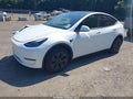 2024 Tesla Model Y — photo 2 of 18 | VIN 7SAYGAEE1RF204462