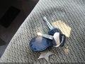 Photo 11 of 11 — 2003 Toyota Corolla