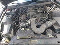 2009 Ford Mustang — photo 10 of 11 | VIN 1ZVHT80N295127043