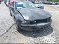 2009 Ford Mustang — photo 6 of 11 | VIN 1ZVHT80N295127043