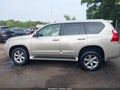 2012 Lexus GX 460 — photo 14 of 16 | VIN JTJBM7FX8C5046710