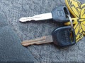 2002 Isuzu Rodeo — photo 11 of 12 | VIN 4S2CK58W924324853