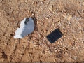 2025 Ford F-350 — photo 12 of 16 | VIN 1FT8W3DT3SED01939