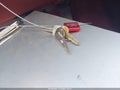 1992 Oldsmobile Cutlass Ciera — photo 11 of 17 | VIN 1G3AL54N7N6435794