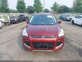 Photo 6 of 11 — 2014 Ford Escape