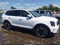 2025 Kia Telluride — photo 13 of 16 | VIN 5XYP64GC7SG676253