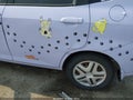 Photo 6 of 12 — 2007 Honda Fit