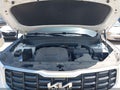 2025 Kia Telluride — photo 10 of 16 | VIN 5XYP6DGC2SG610855