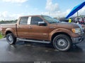 2011 Ford F-150 — photo 14 of 17 | VIN 1FTFW1ET5BFB96048