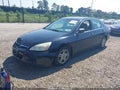 2007 Honda Accord — photo 2 of 12 | VIN 1HGCM56357A227593
