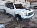 2021 Jeep Renegade — photo 1 of 16 | VIN ZACNJDC19MPM95715